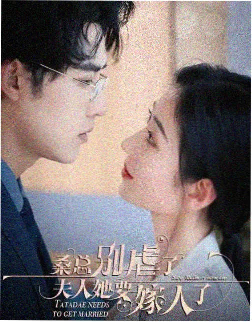母亲的职业剧情梳理配图